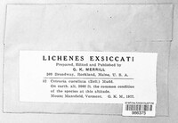 Image Associated With the Occurence